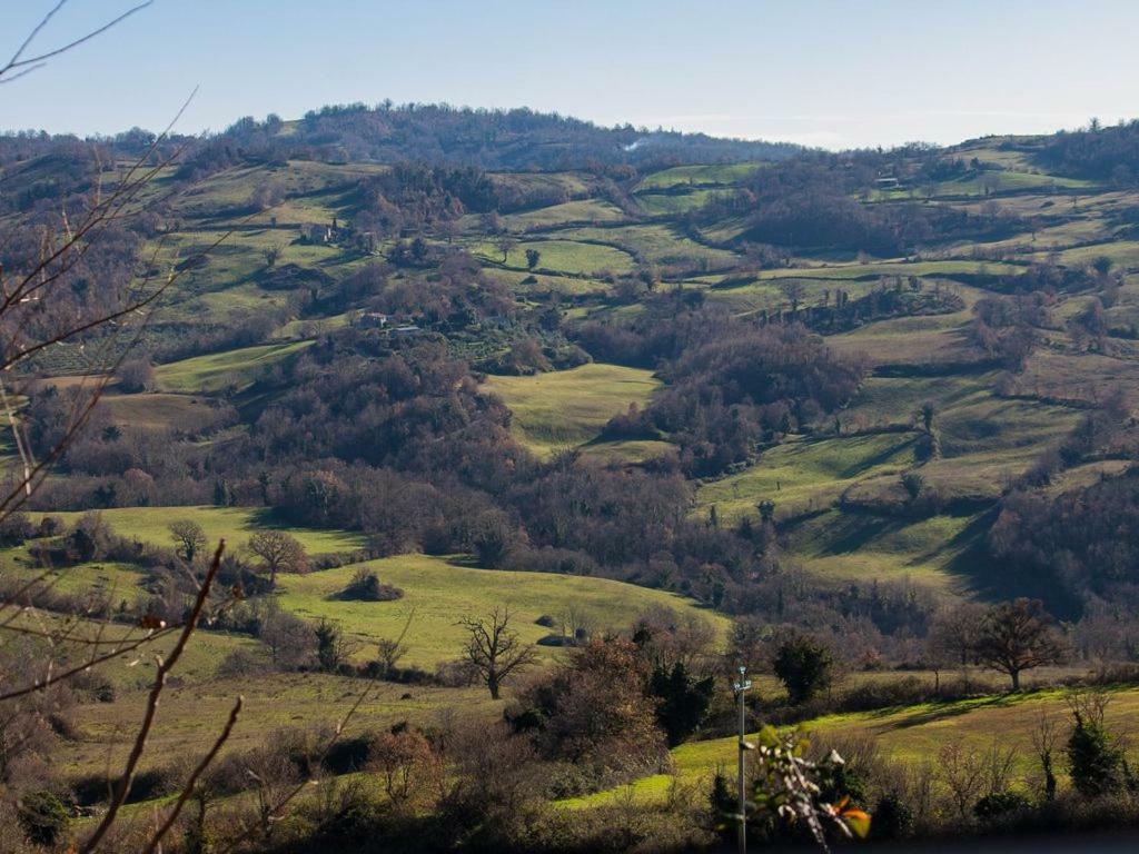 Le Casette Country House Petricci Kültér fotó